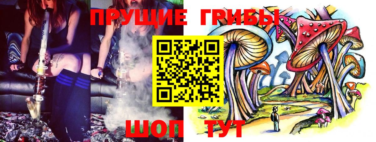 Псилоцибиновые грибы мицелий Можга
