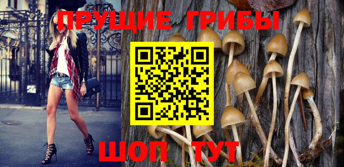 Галлюциногенные грибы Psilocybine cubensis  Вход с VPN  Можга 