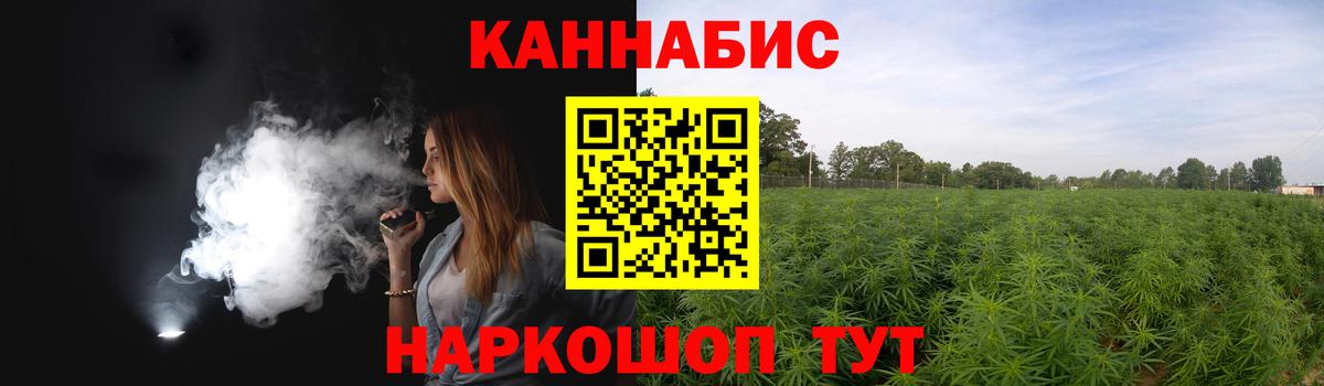 Канабис сатива Можга